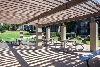 Picnic area with barbecue